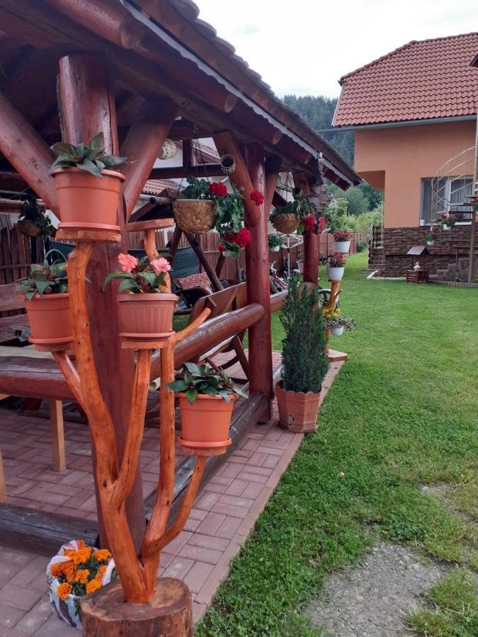 Casa De Oaspeti Cristian Praid Buitenkant foto