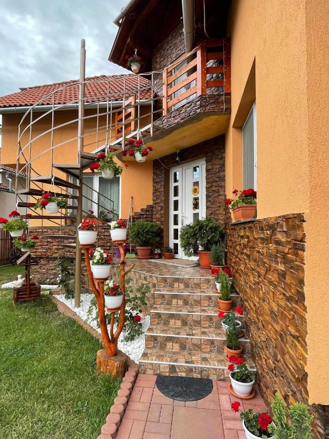 Casa De Oaspeti Cristian Praid Buitenkant foto